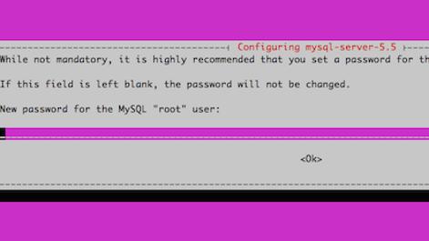 mysql-root-pw.png